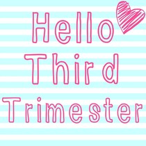 3rd Trimester of Pregnancy